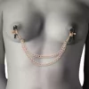 Coquette Chic Desire – Pinces metelons fantaisie en métal avec chaîne – vue 3 – BDSM & fétichisme