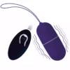 Intense – Oeuf vibrant flippy i avec télécommande violet – ufs vibrants
