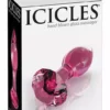 Pipedreams – N. 79 plug anal en verre – Sextoys
