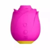 Romp – Rose 2.0 outil de succion clitoridienne en forme de rose – Stimulateurs clitoridiens