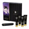 Shunga – Kit geisha coquinée – Lubrifiants & massage