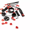 Toyjoy – Kit de démarrage BDSM juste pour vous – Sextoys